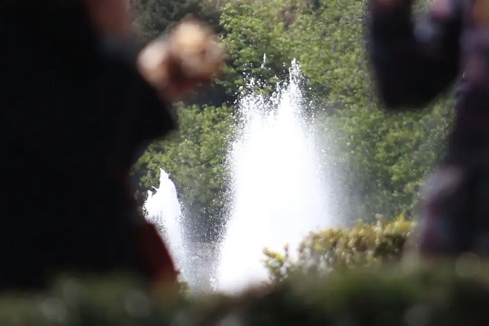 Ace&o Production — photo 1