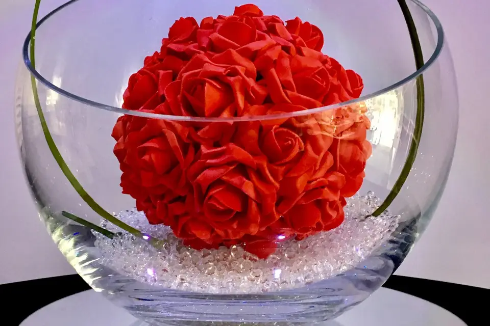 Musicanimation — photo 4