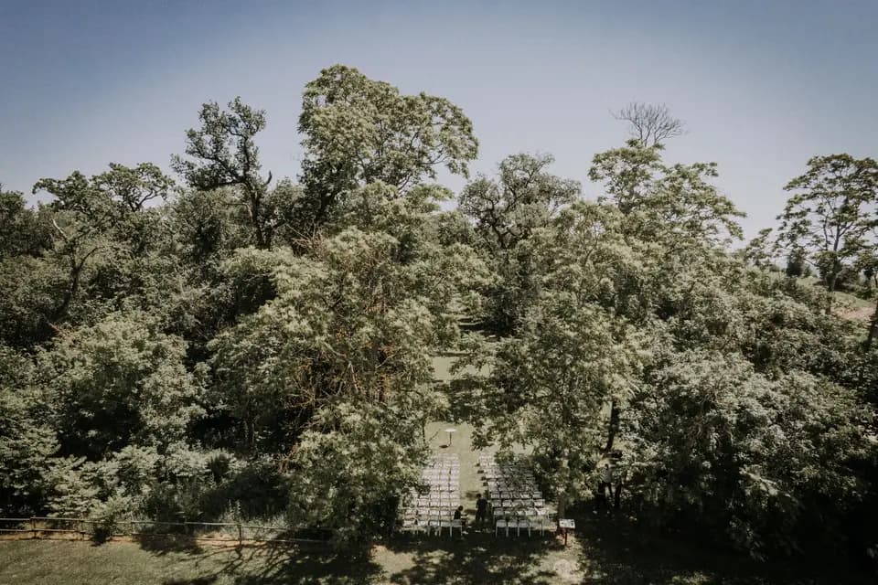 Orangerie Bonrepos-Riquet — photo 7