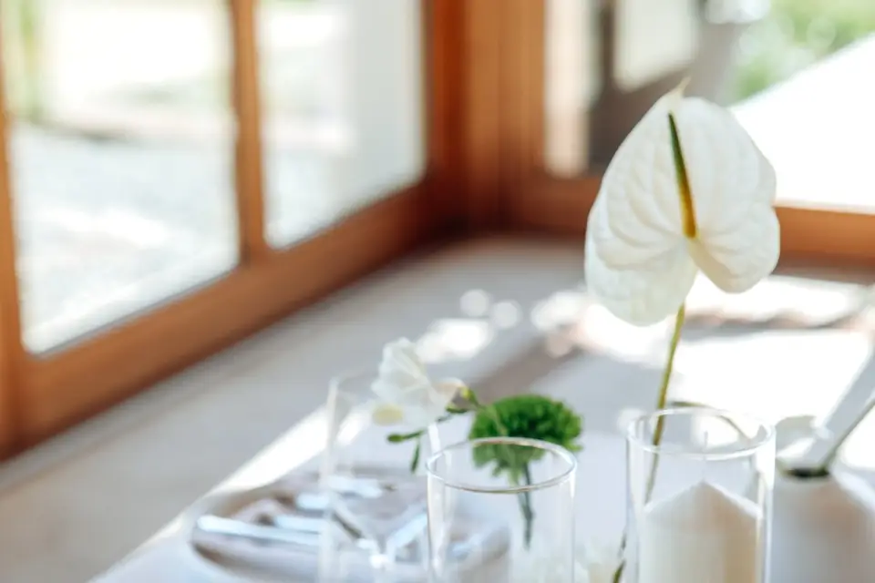 Éféemère — photo 6