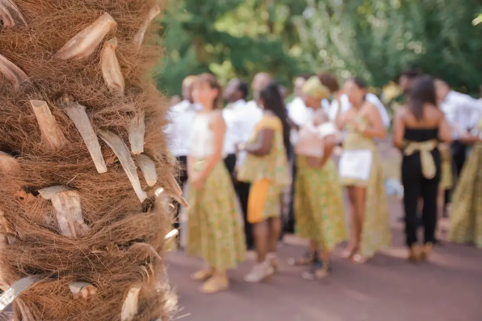 Kumo Video — photo 6