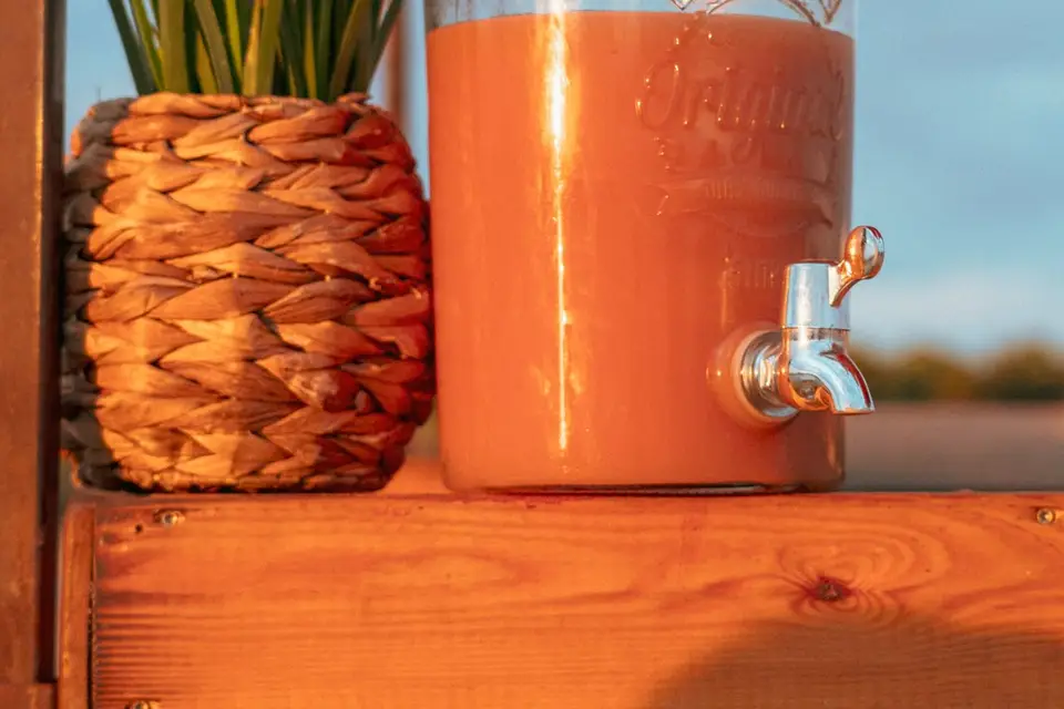 Ti Plezir — photo 2