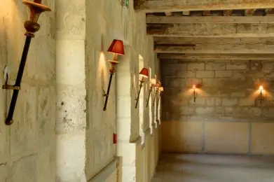 Domaine du Bois Saint Mard — photo 6