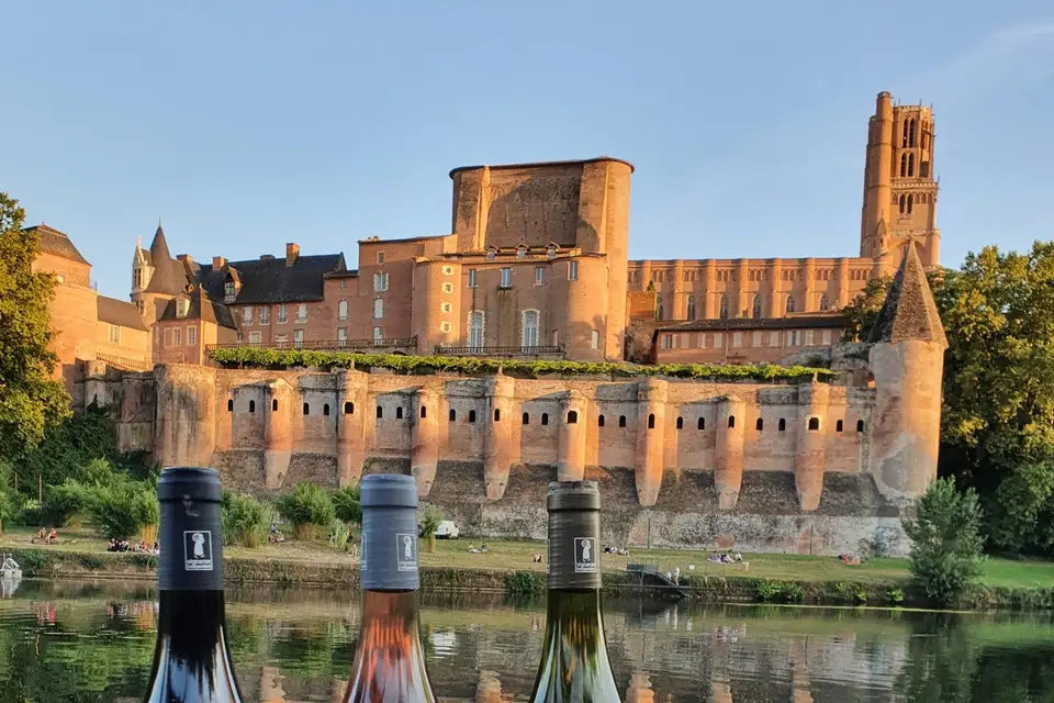 Mas d'Aurel — photo 8