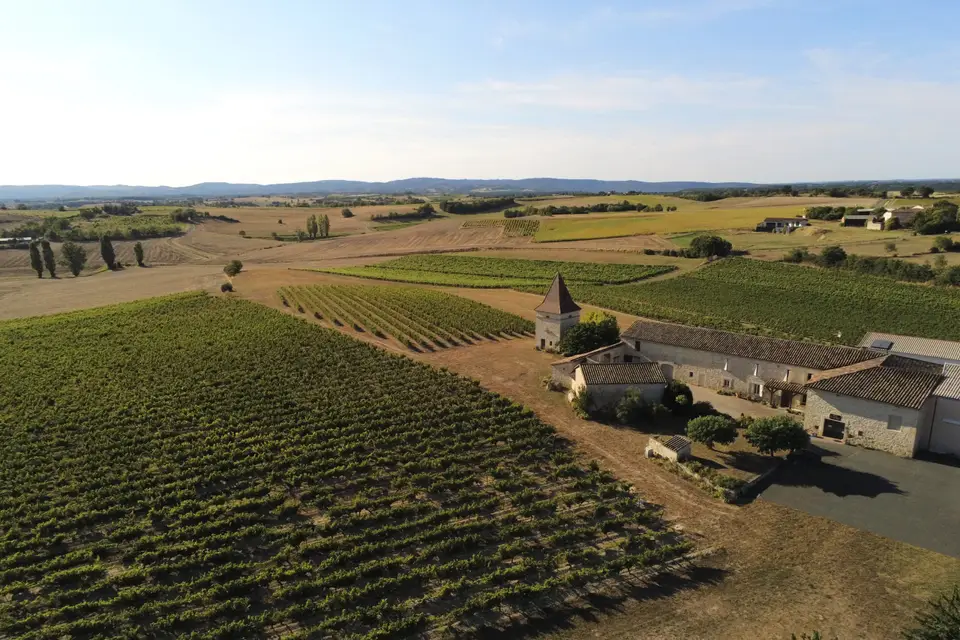 Mas d'Aurel — photo 4