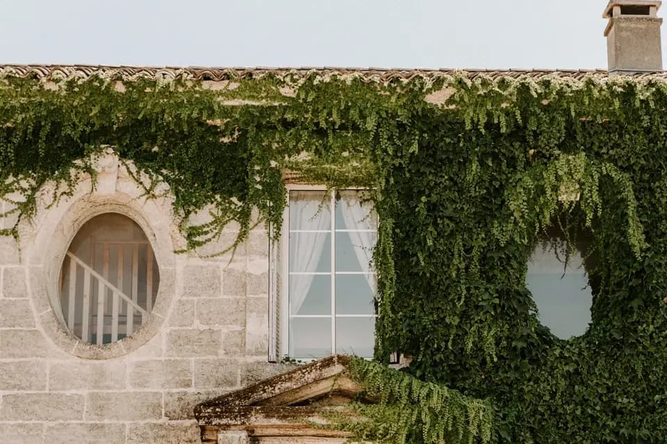 Château Puech-Haut — photo 2