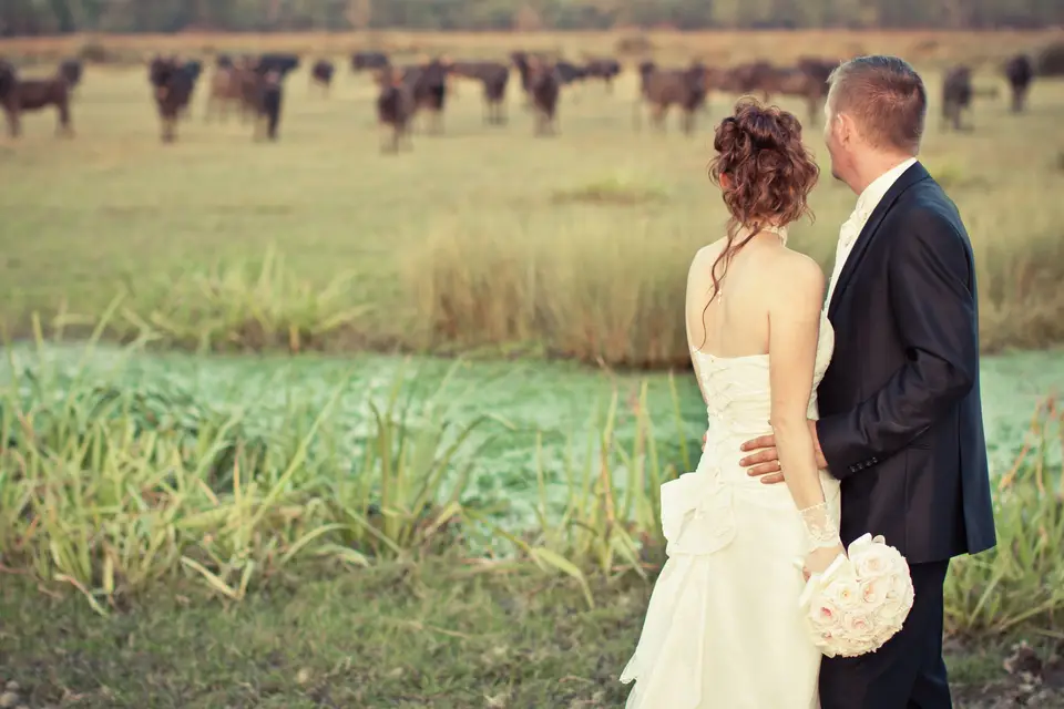Mas du Ménage en Camargue — photo 2