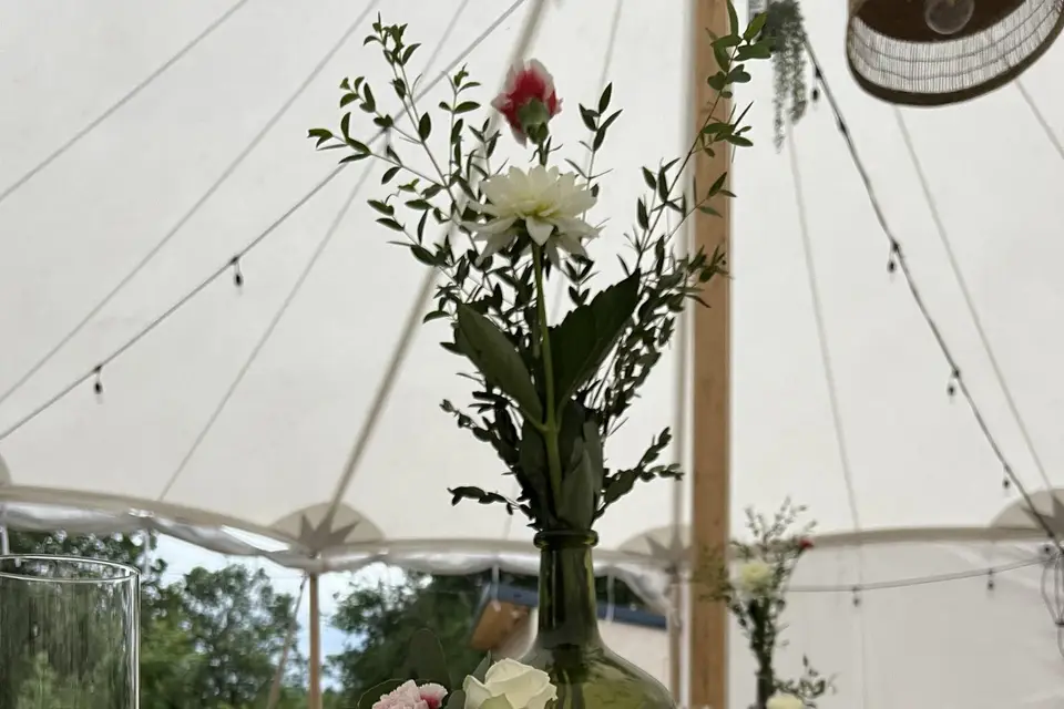 Bakarra Évènements — photo 4