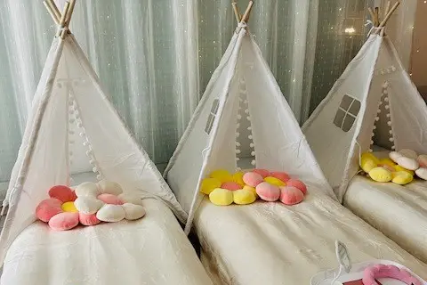 Tipiboom — photo 1