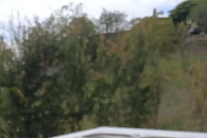 Morpheus — photo 3