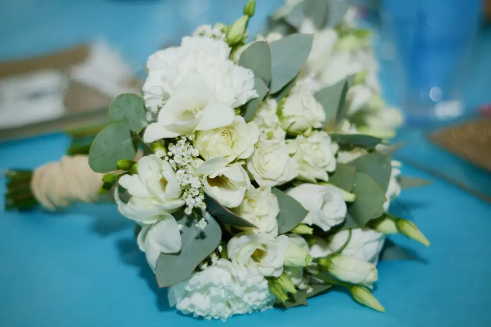 Tistou Malta Vidéo — photo 1