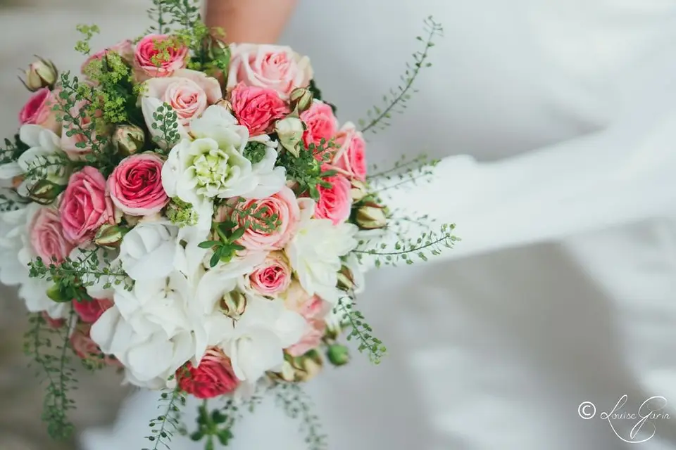 Rêve d'Orchidée — photo 2