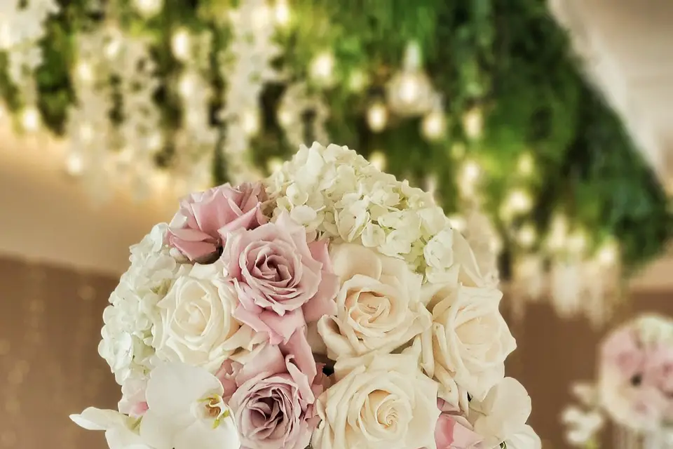 Soirée Events — photo 2