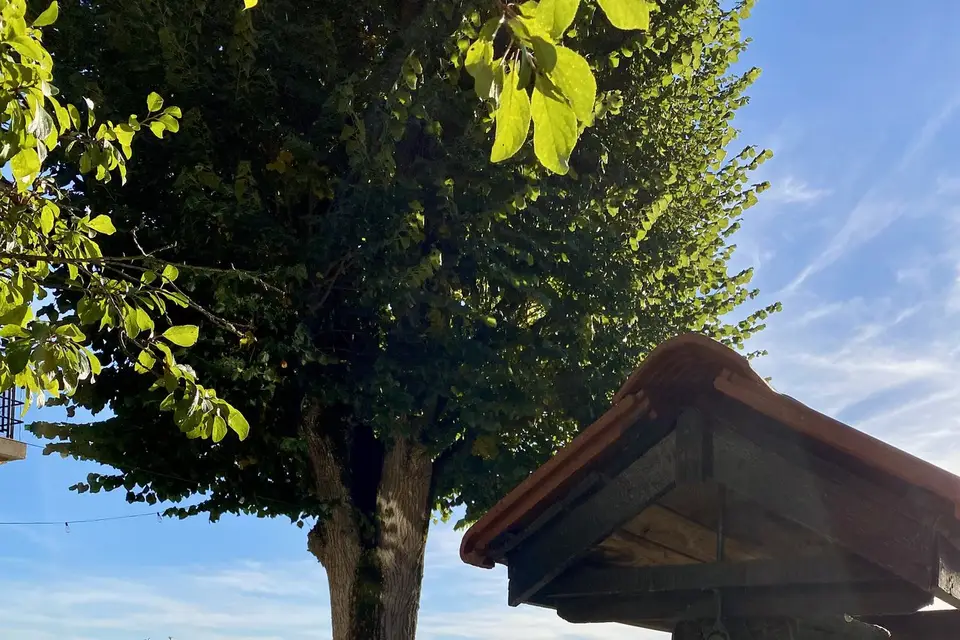 Domaine Le Prieuré — photo 3