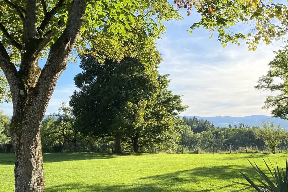 Domaine Le Prieuré — photo 2