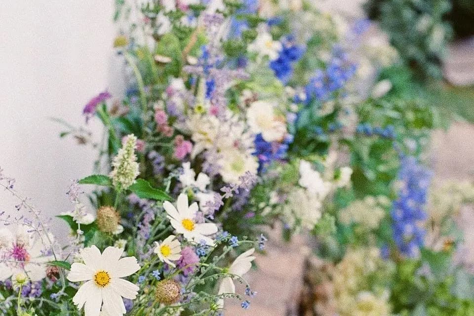 À Fleurs de Pau — photo 8