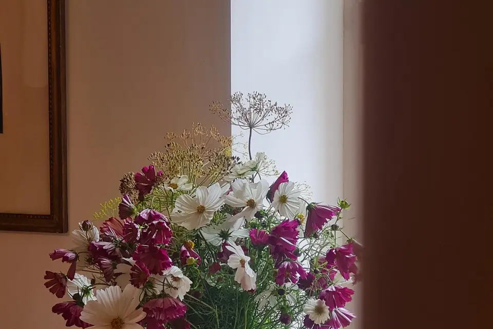 À Fleurs de Pau — photo 7