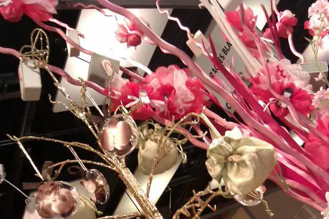 Dragées Blanc — photo 4