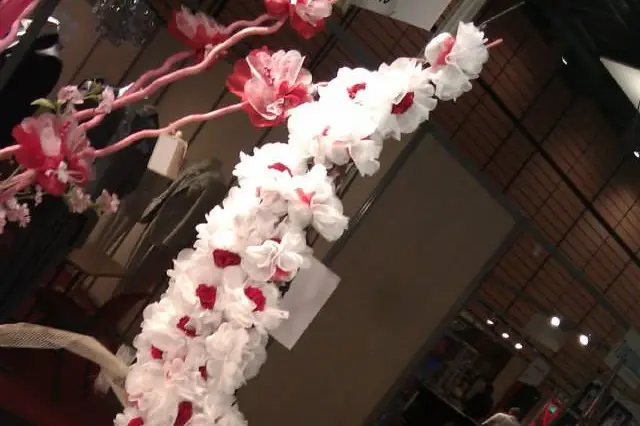 Dragées Blanc — photo 1