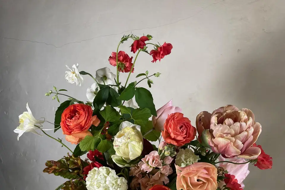 Terre & Fleurs — photo 6