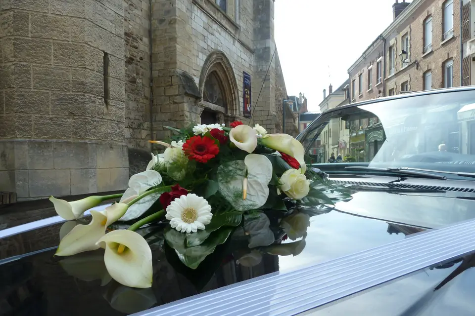 Road Trip Service WCF — photo 8