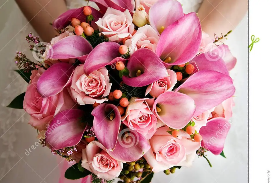 ld communication — photo 4