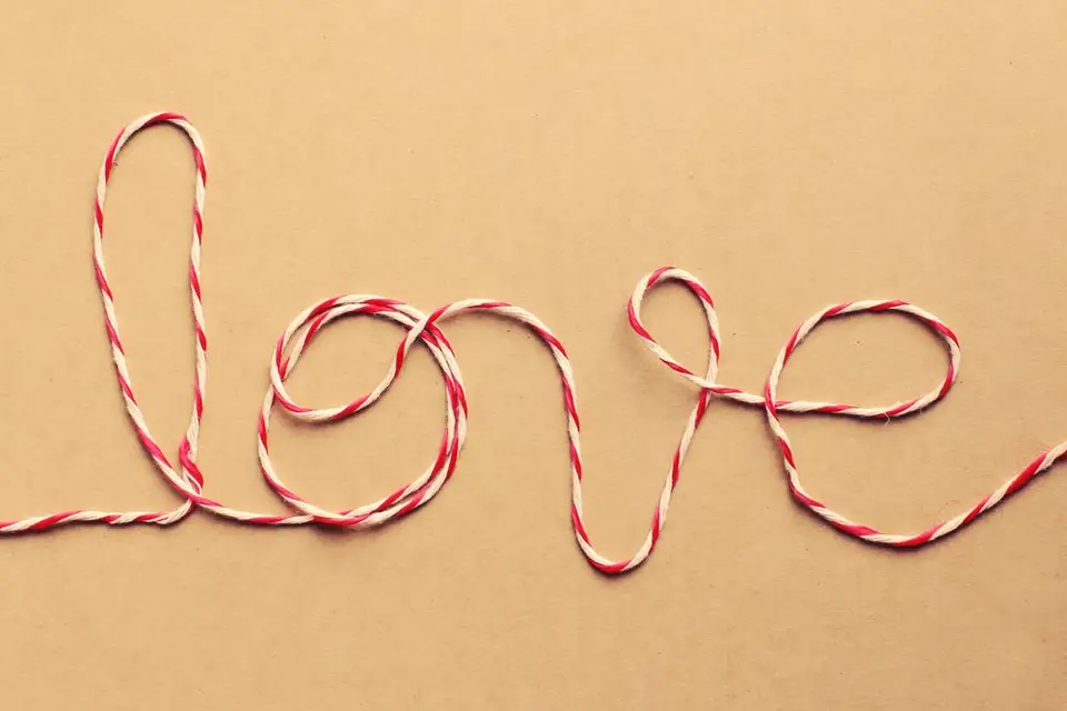 Bal de famille — photo 5