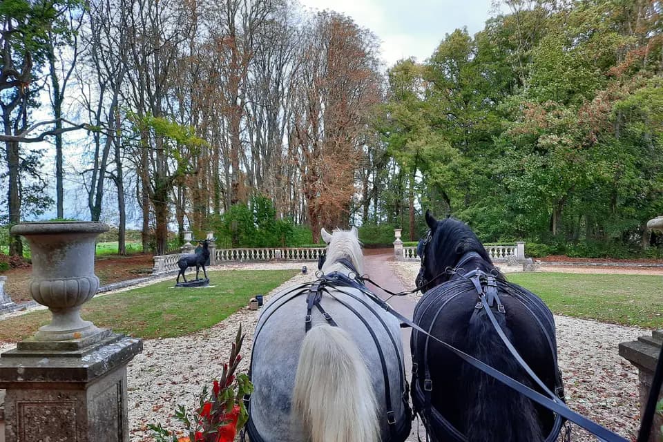 Les Caleches de Chaise Dieu — photo 7