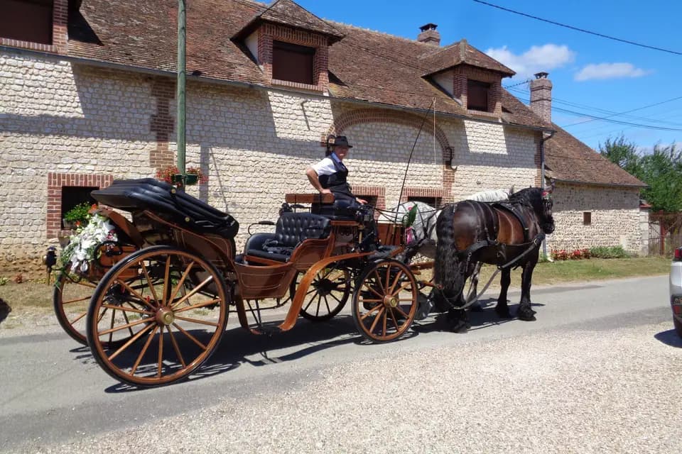 Les Caleches de Chaise Dieu — photo 1