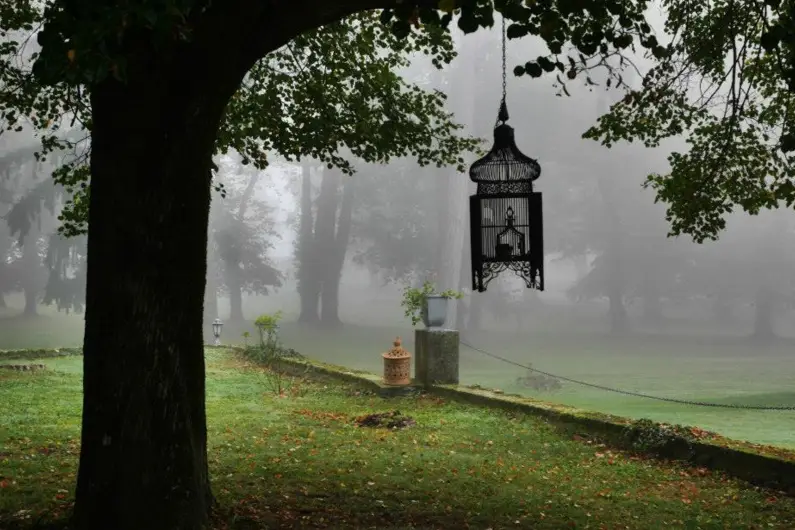 Château de La Bourdelière — photo 3