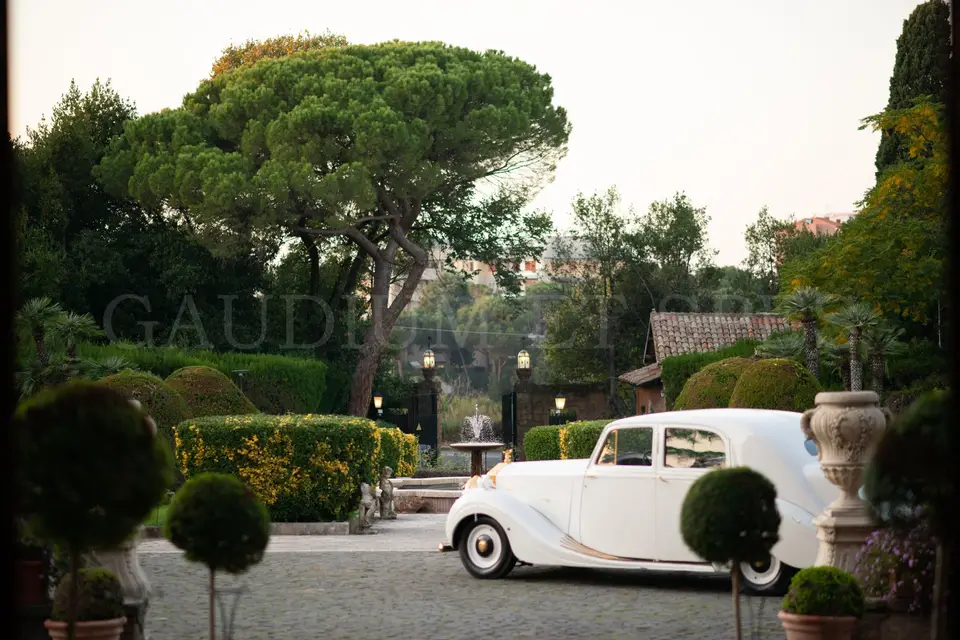 CDG Events — photo 4