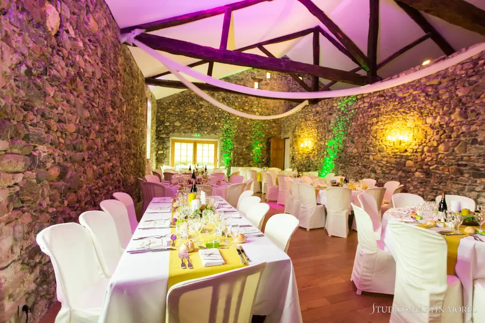 Salons du Château de Venon — photo 1