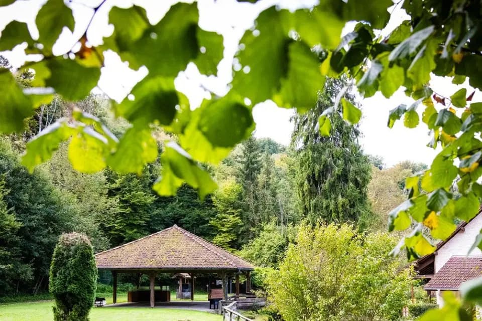 La Papeterie — photo 6