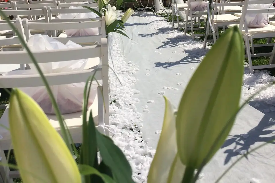 Chab Cérémonie — photo 2