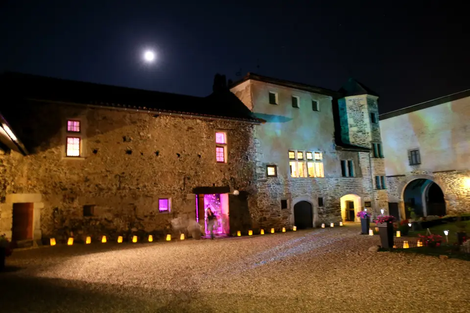 Salons du Château de Venon