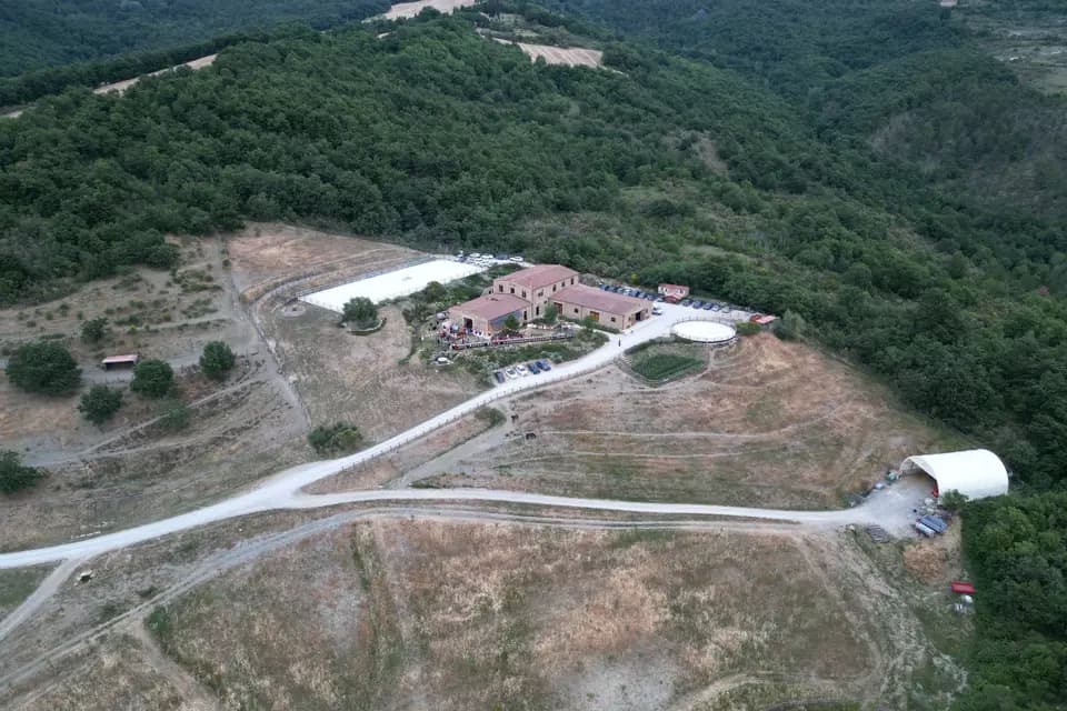 Rush Prod — photo 8