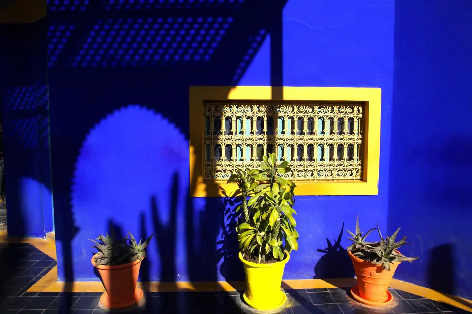 Le Monde d'Aurélia — photo 1