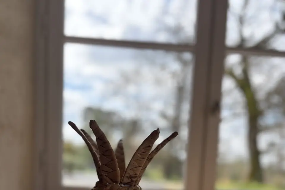 Les Cocktails Coco — photo 4