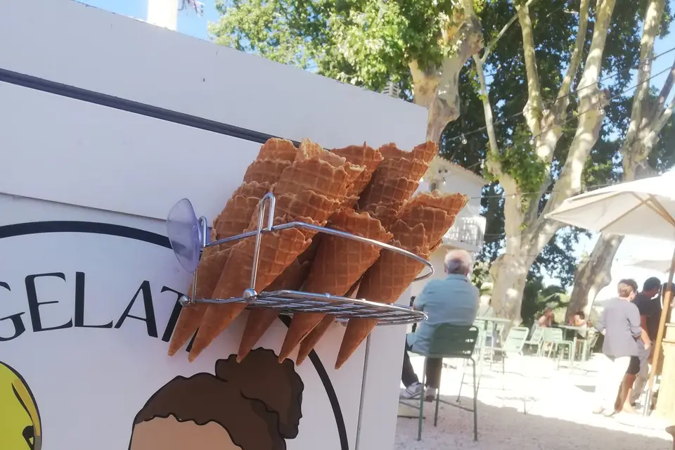 Les Glaces de Dino — photo 3