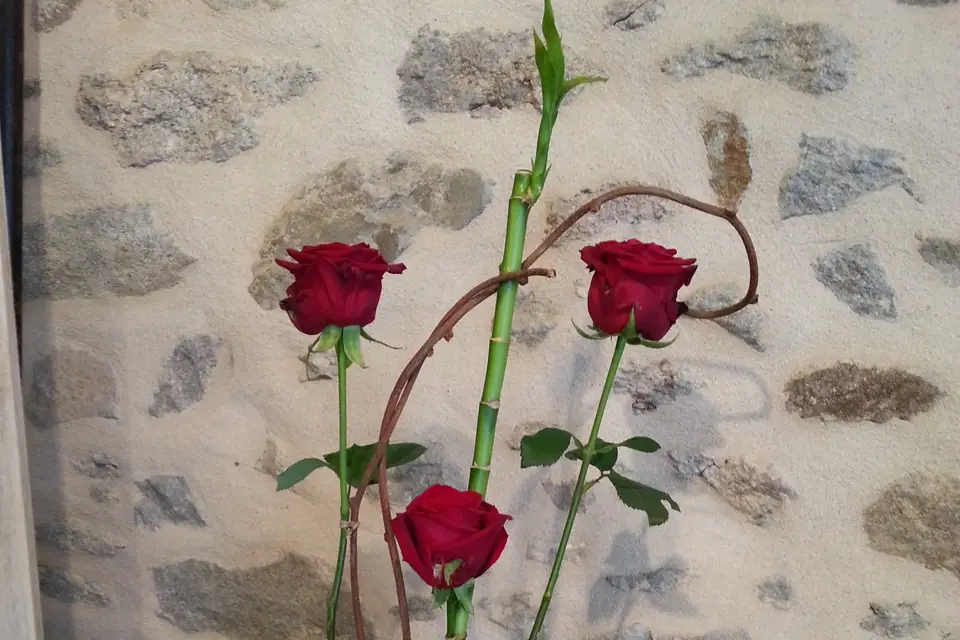 Brin d'Ambiance — photo 3