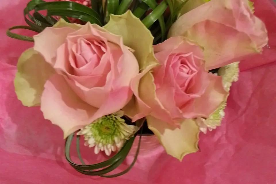 Brin d'Ambiance — photo 7