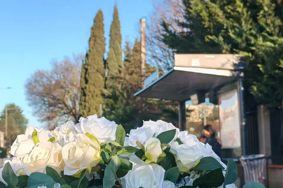 Urban Prestige — photo 8