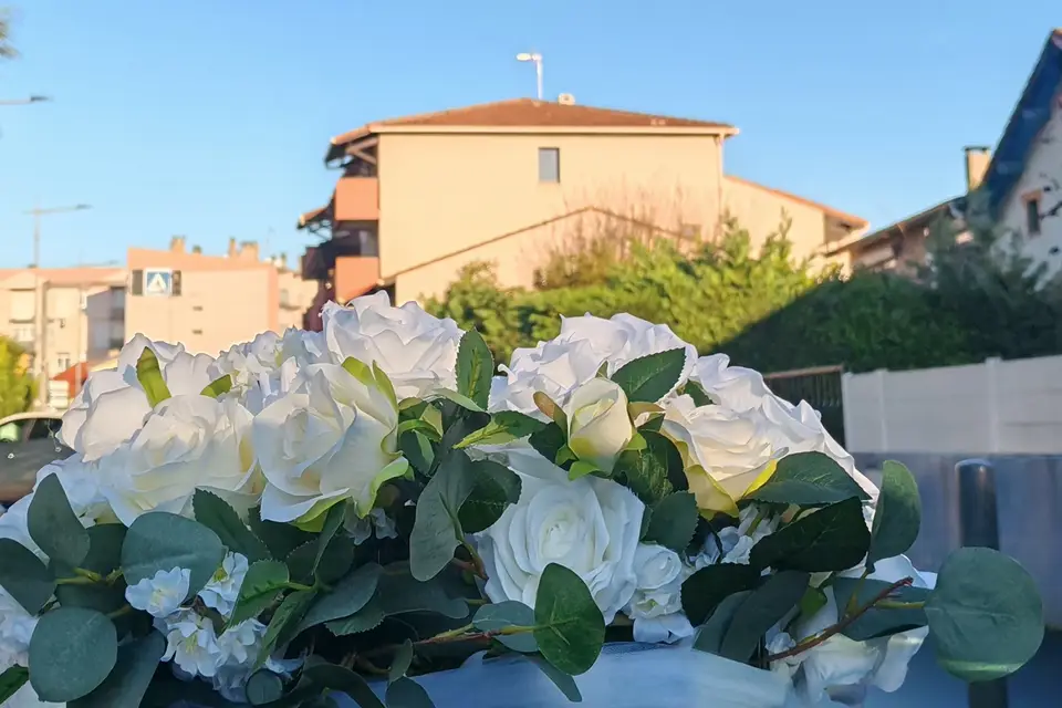 Urban Prestige — photo 6