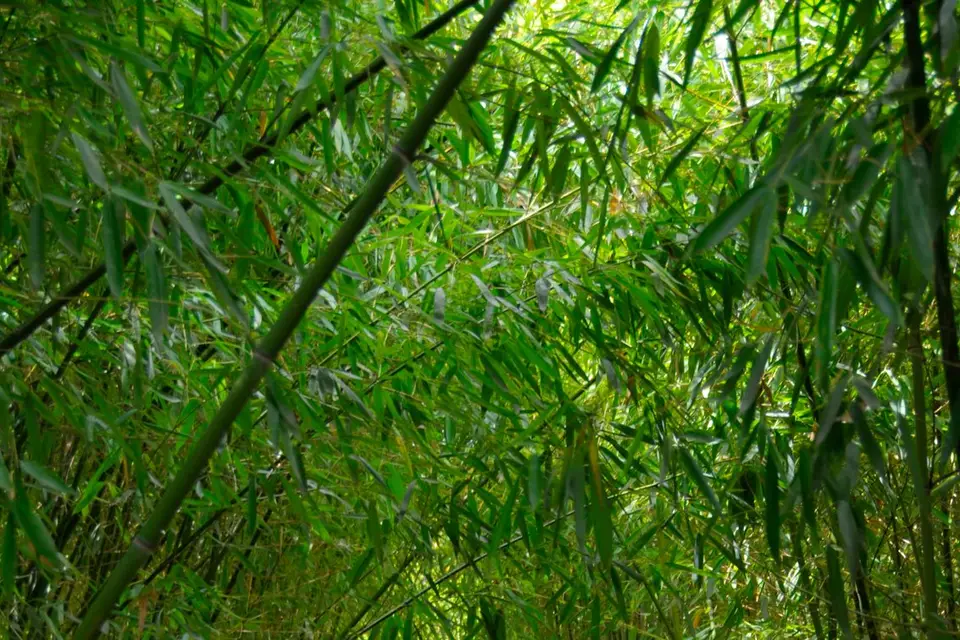 Domaine de Leriet — photo 4