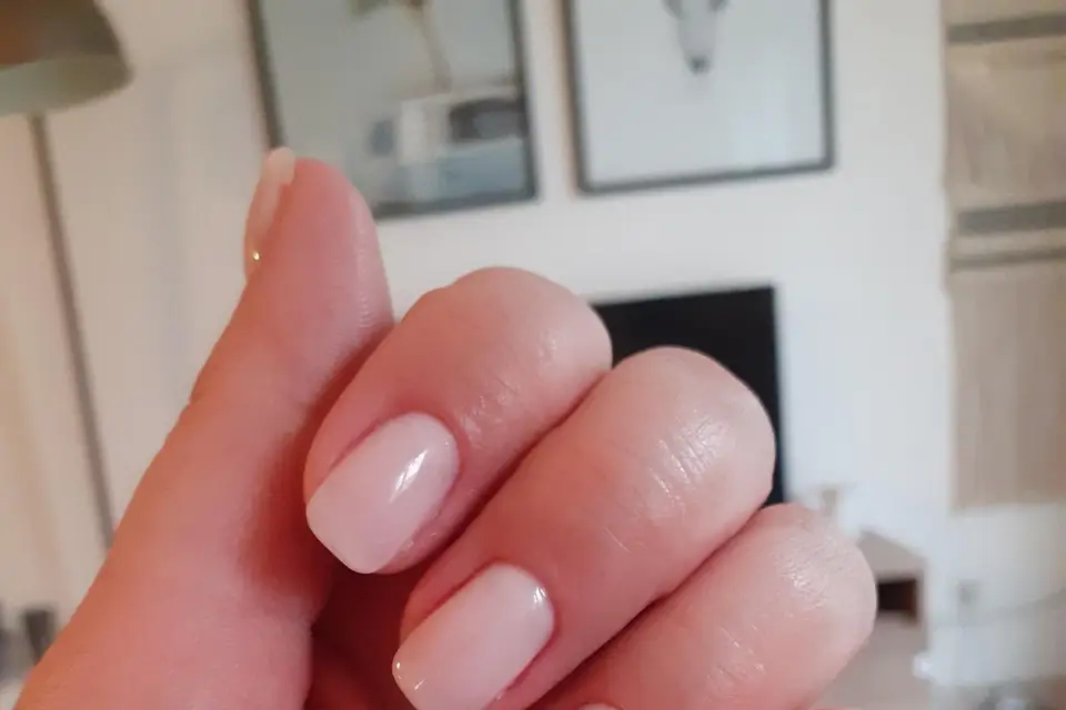 Blooming — photo 1