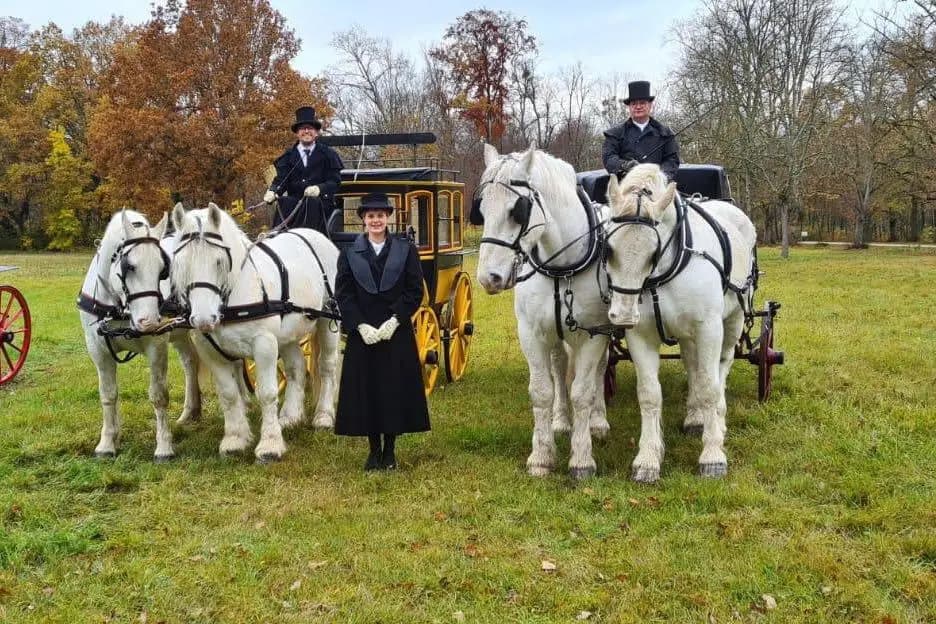 As et Compagnie — photo 5