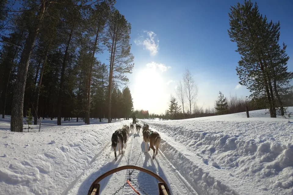 Le goût de voyager — photo 5