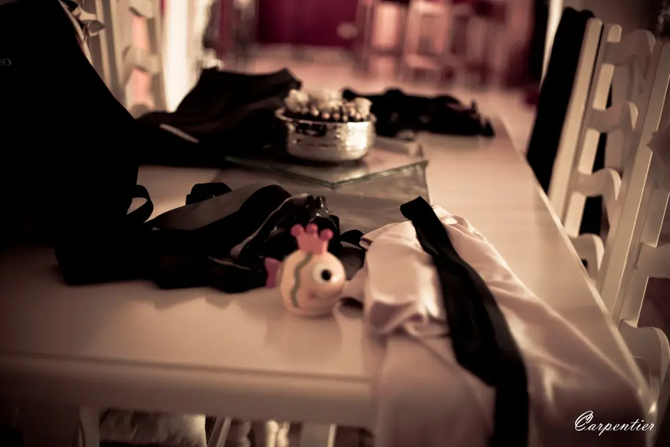 Cédric Carpentier — photo 4