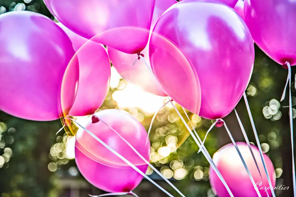 Cédric Carpentier — photo 2