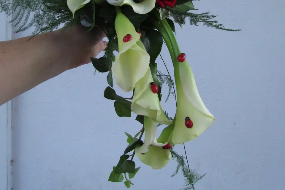 Atelier d'Aurélie — photo 6